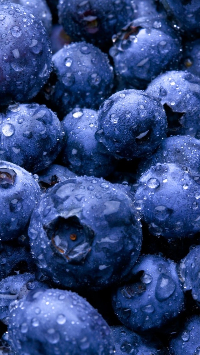 Nature Fruits Food Water Drops Berries Blueberries