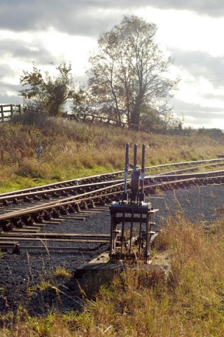 Nature Landscape Railway Lawn