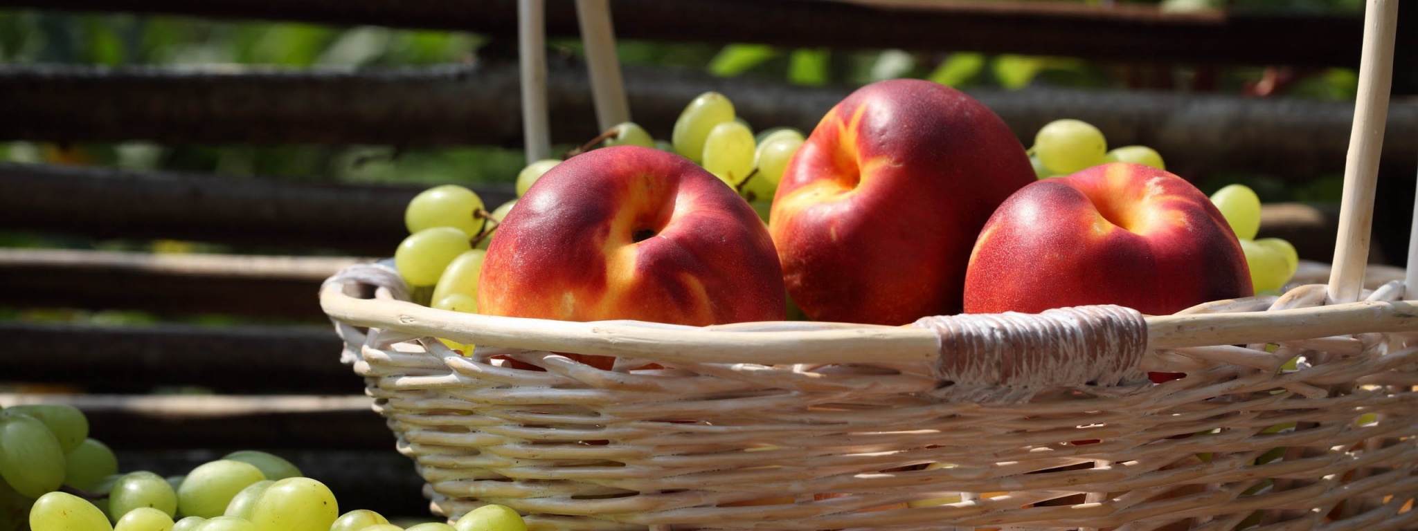 Nectarines And Grapes