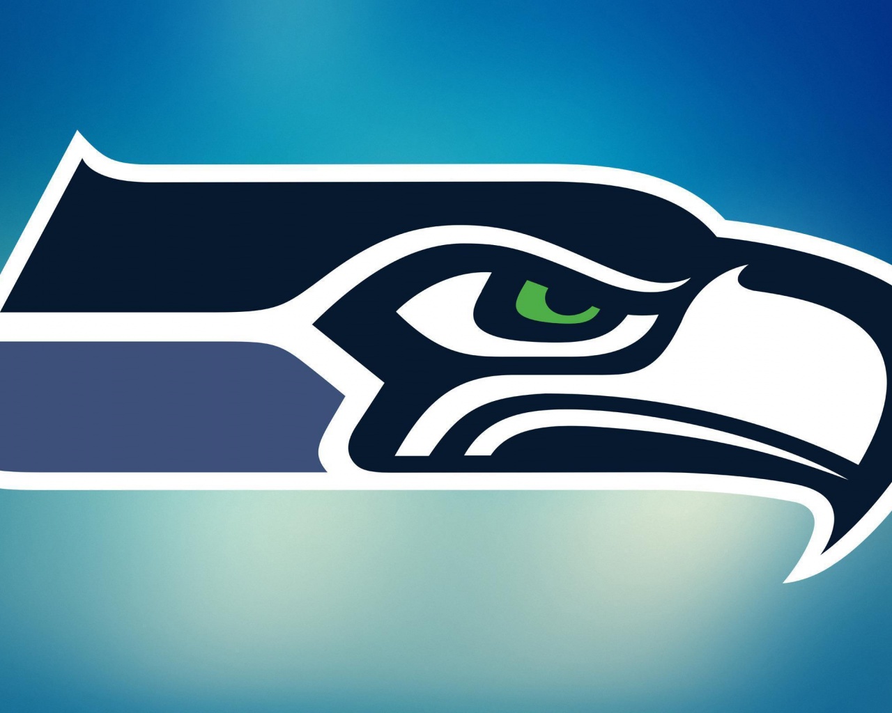 NFL Seattle Seahawks Logo