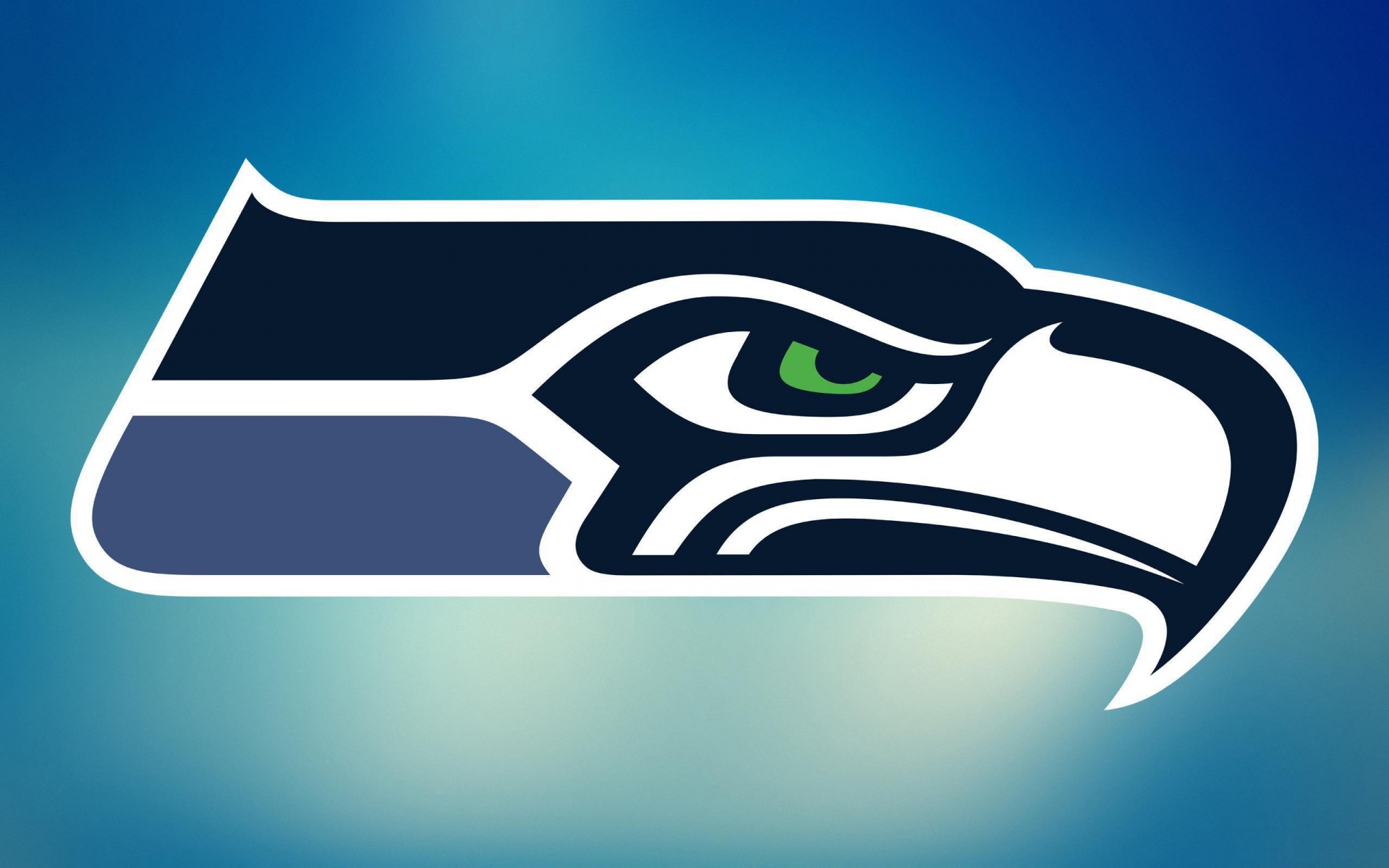 NFL Seattle Seahawks Logo