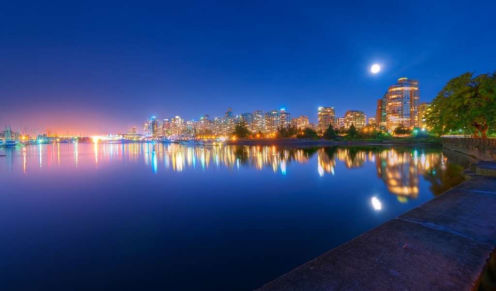 Night Light River Trees City Landscape