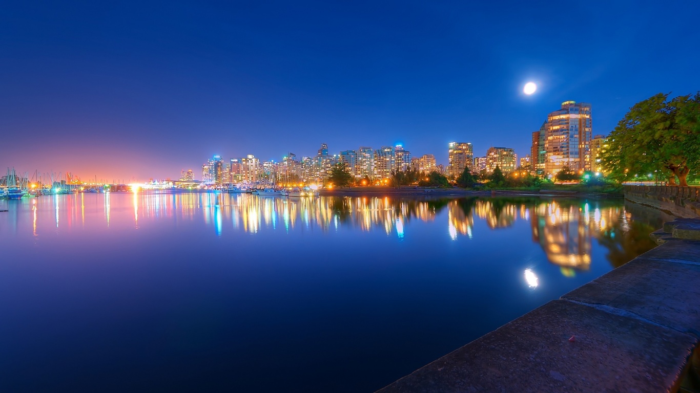 Night Light River Trees City Landscape