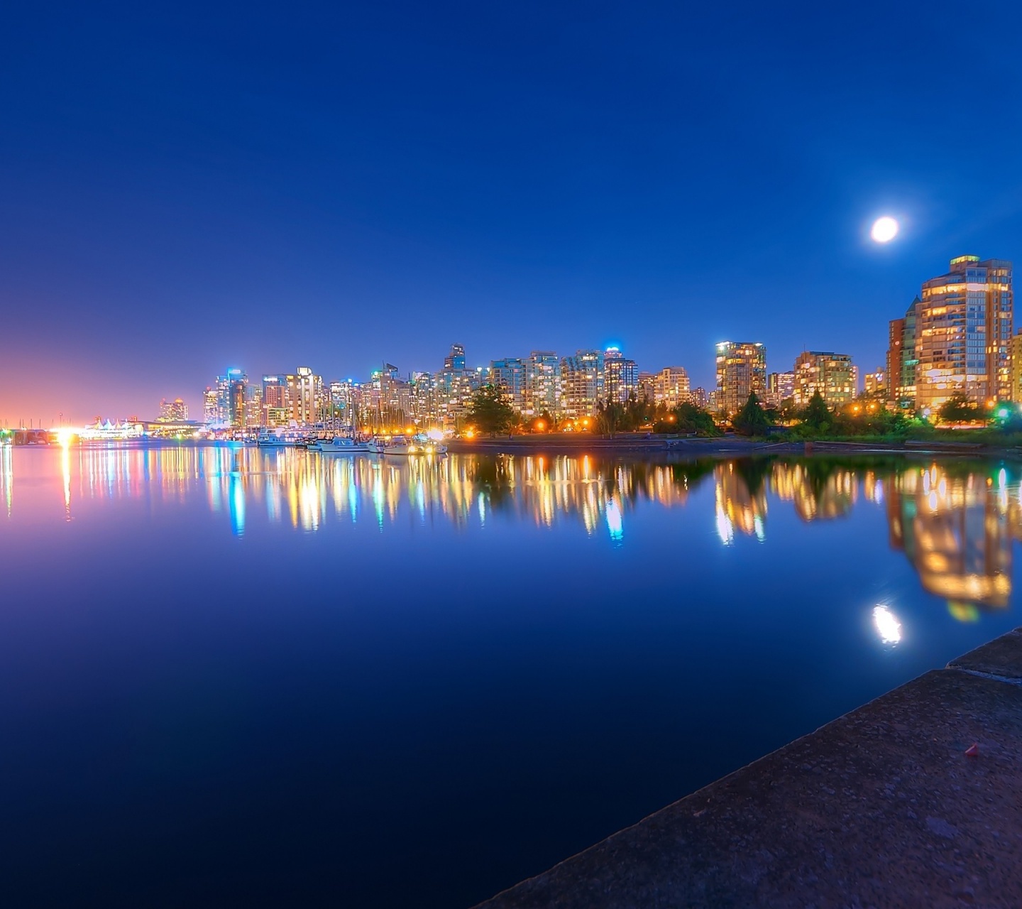 Night Light River Trees City Landscape