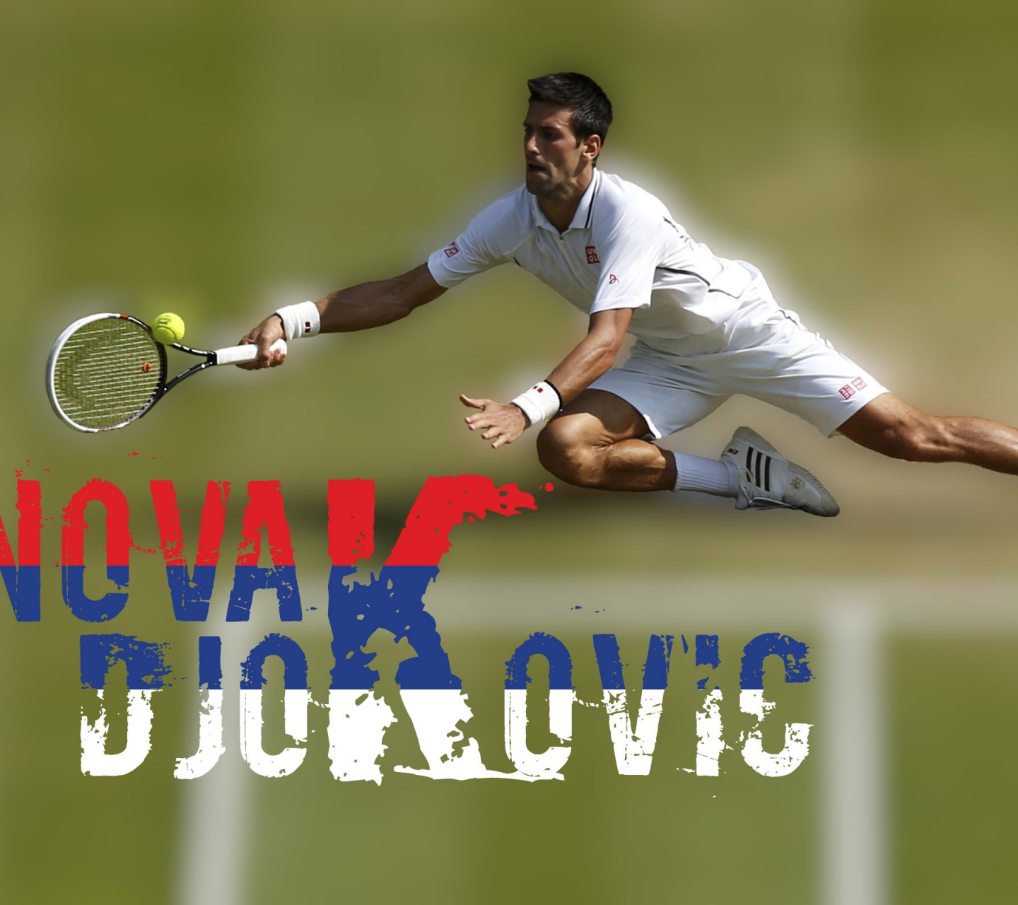 Novak Djokovic 2014 Wimbledon