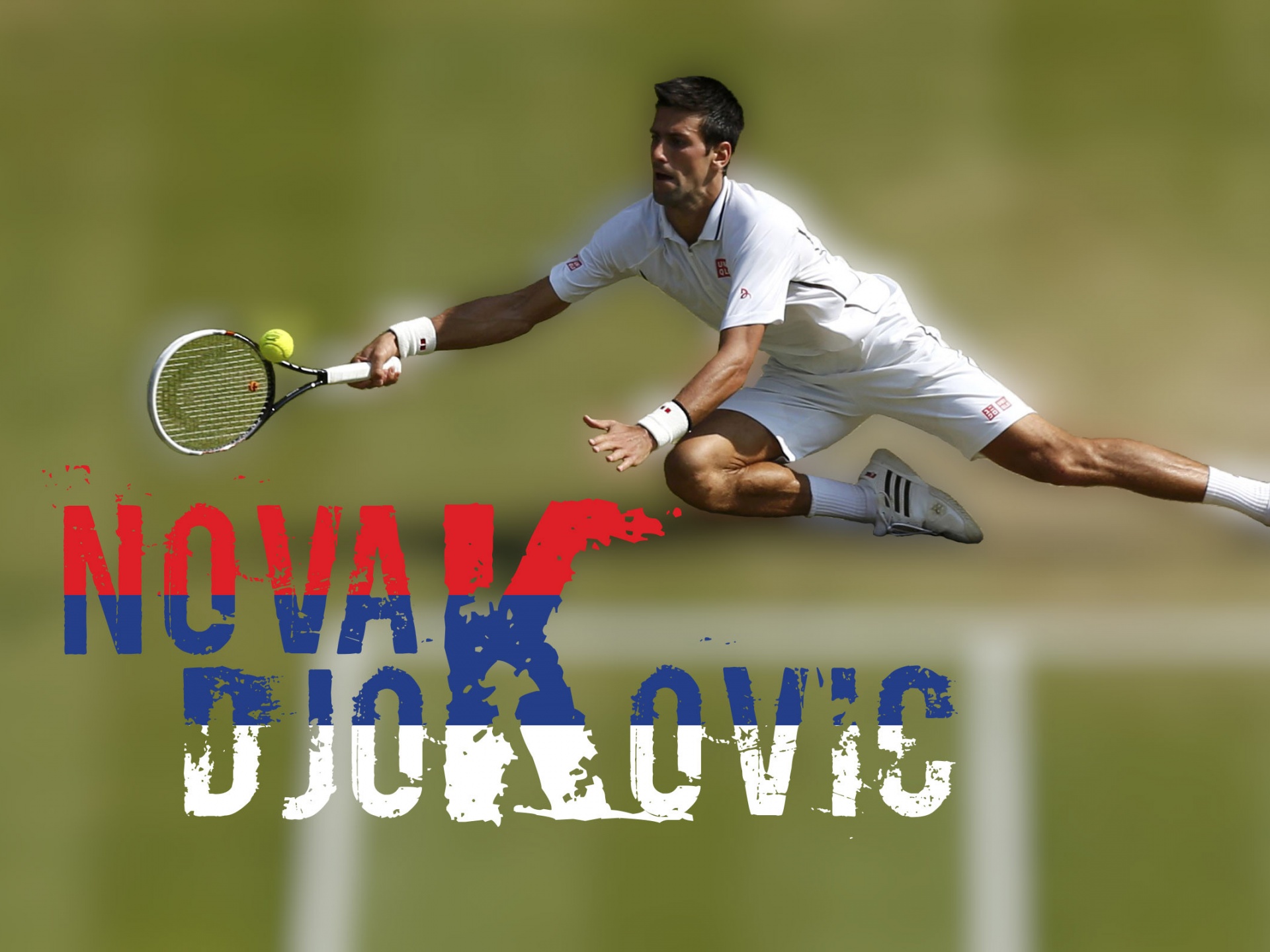 Novak Djokovic 2014 Wimbledon