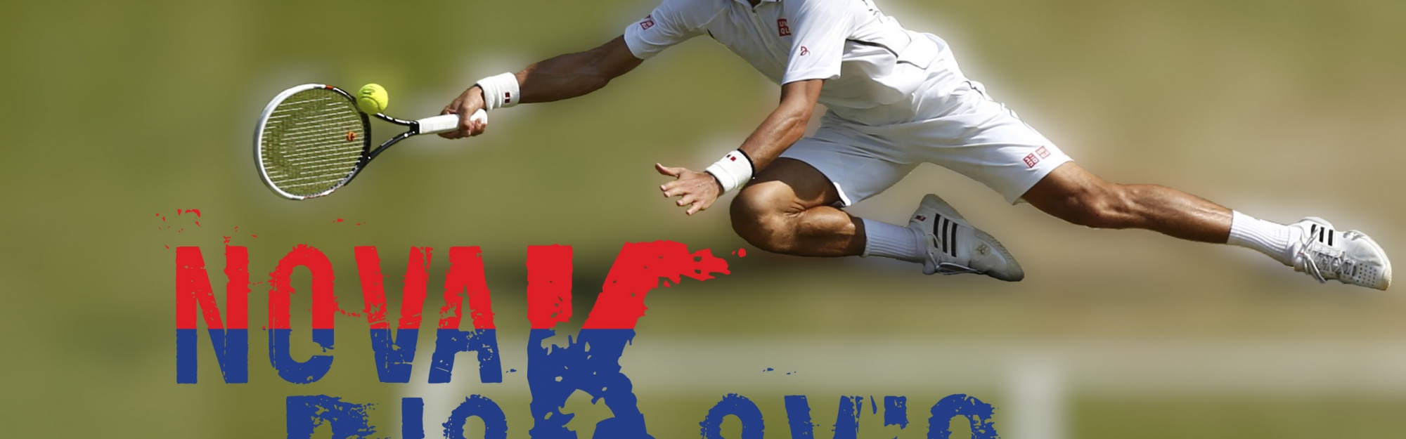 Novak Djokovic 2014 Wimbledon