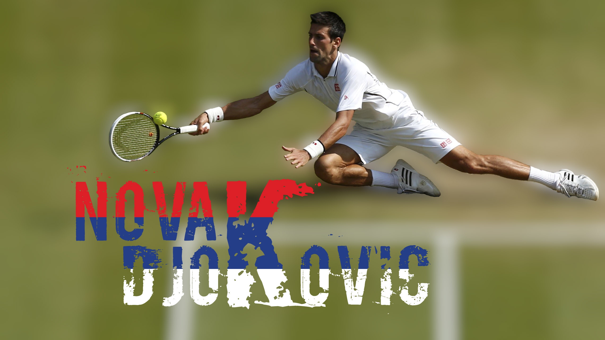 Novak Djokovic 2014 Wimbledon