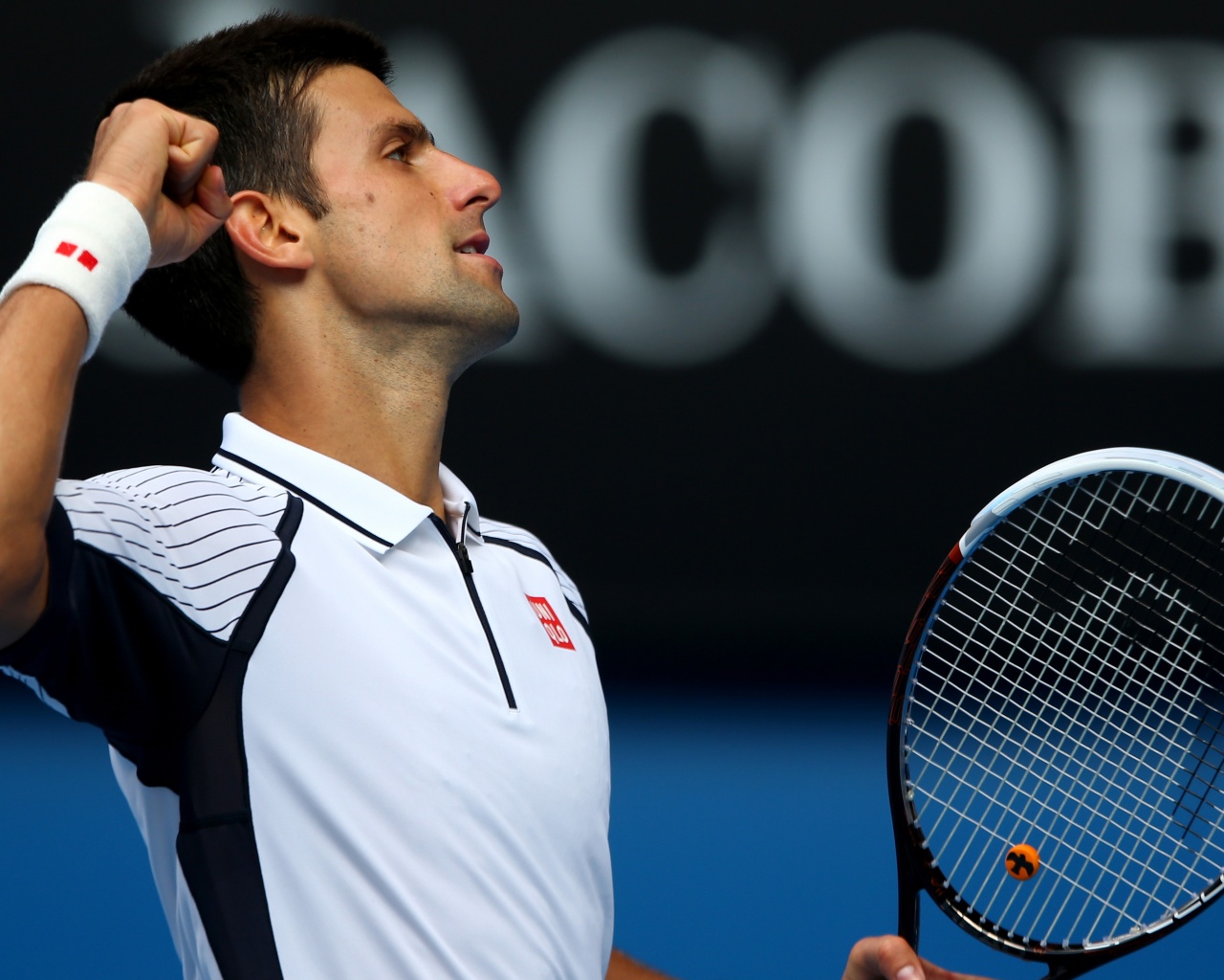 Novak Djokovic Celebrates His Victory