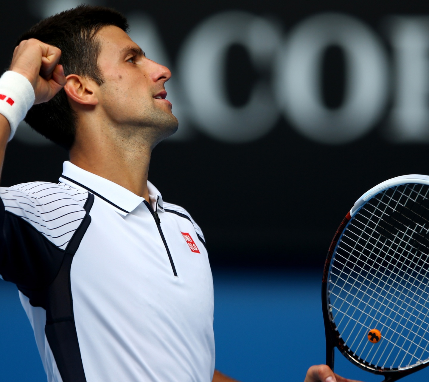 Novak Djokovic Celebrates His Victory