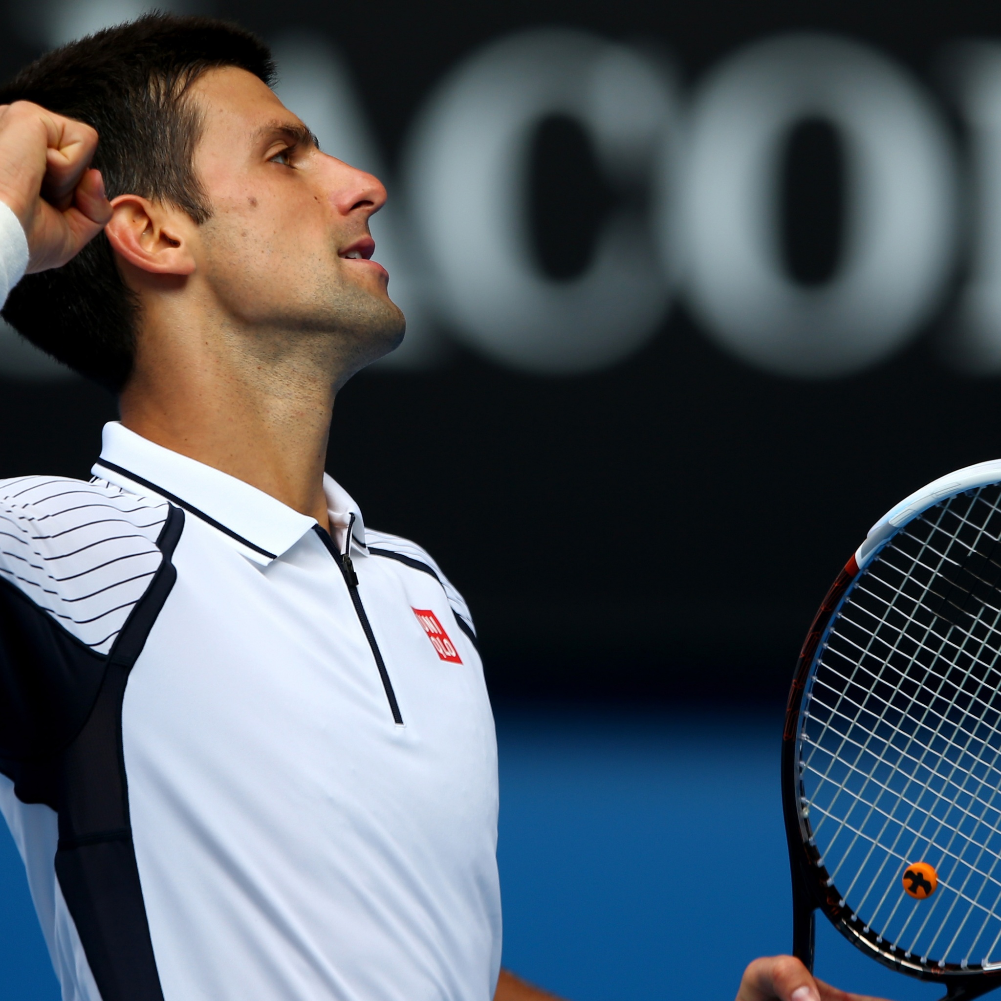 Novak Djokovic Celebrates His Victory