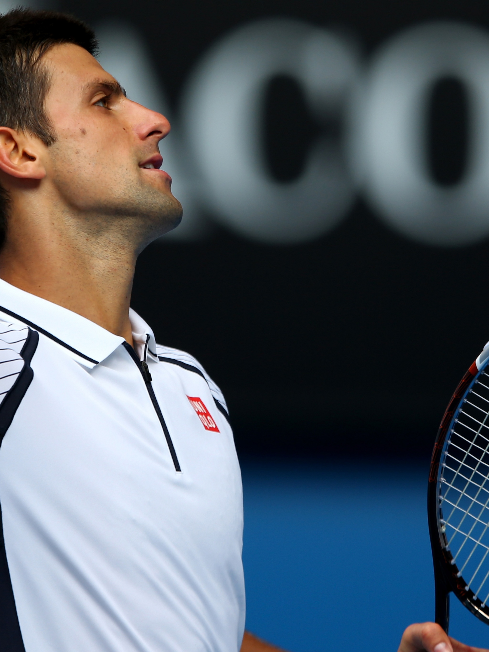 Novak Djokovic Celebrates His Victory