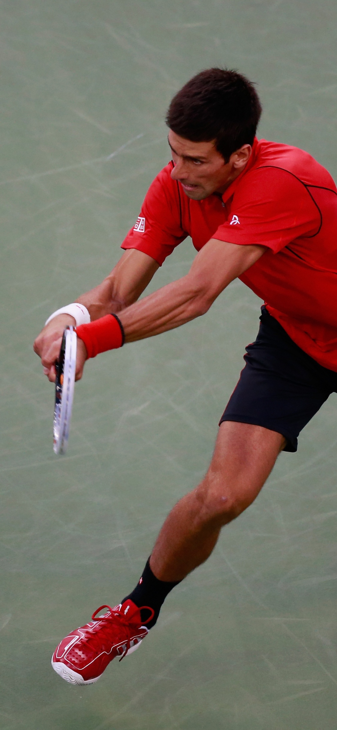 Novak Djokovic Fights Back