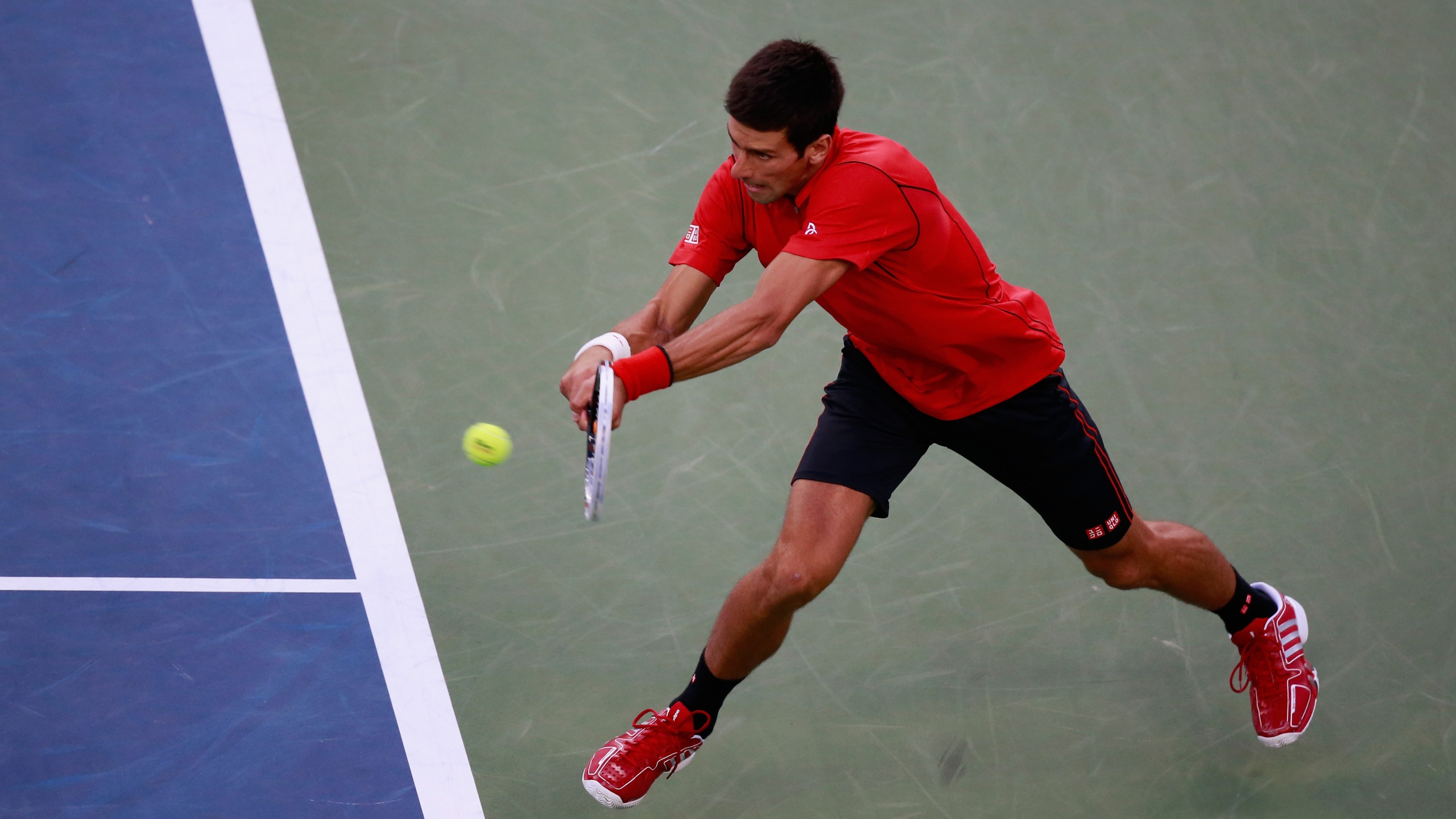 Novak Djokovic Fights Back