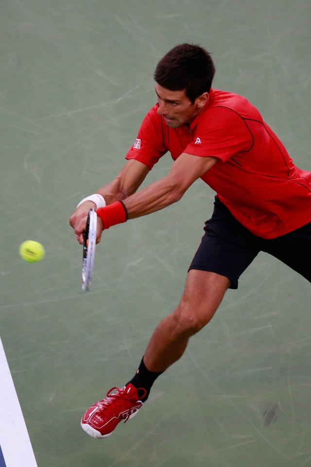 Novak Djokovic Fights Back