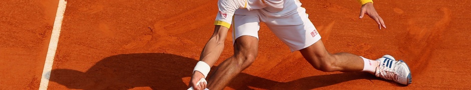 Novak Djokovic - Roland Garros