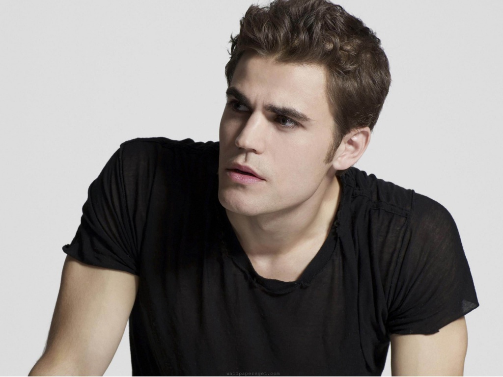 Paul Wesley Usa Actor Handsome Appearance Melancholy Temperament Men