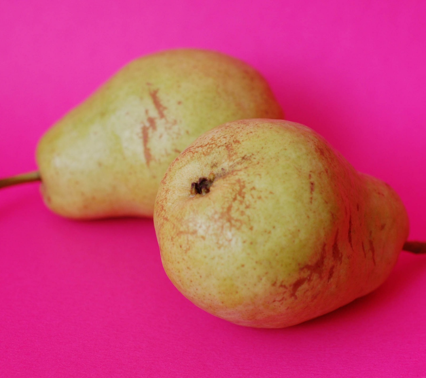 Pears