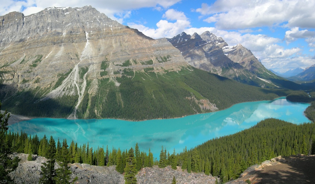 Peyto Lake In Banff N. Park (Canada)