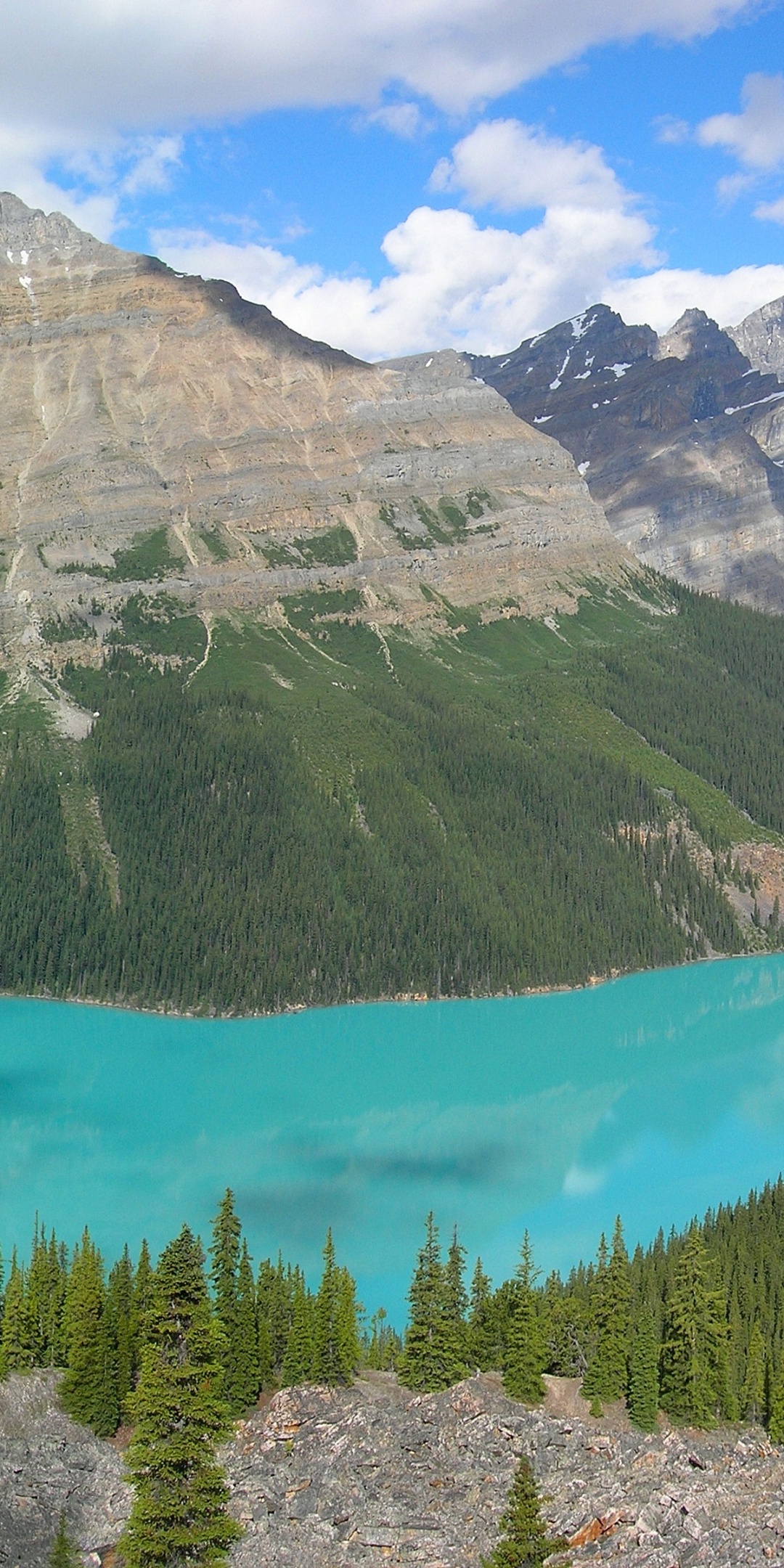 Peyto Lake In Banff N. Park (Canada)