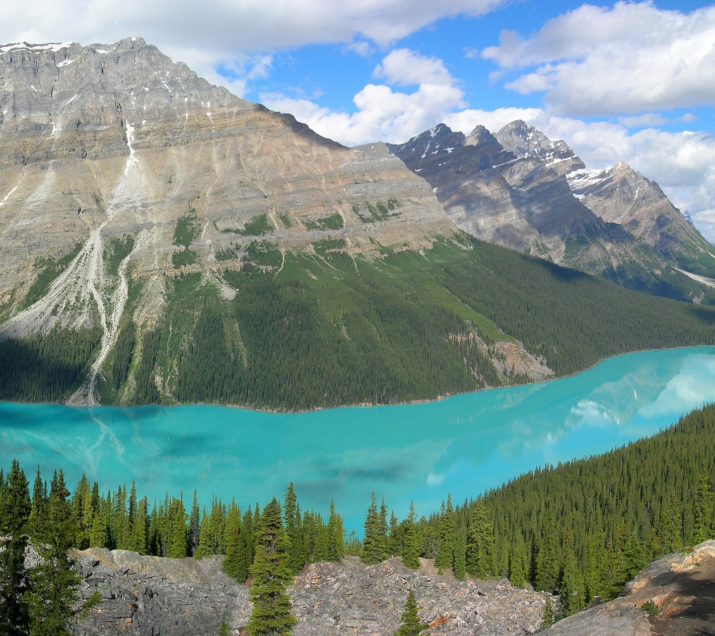 Peyto Lake In Banff N. Park (Canada)