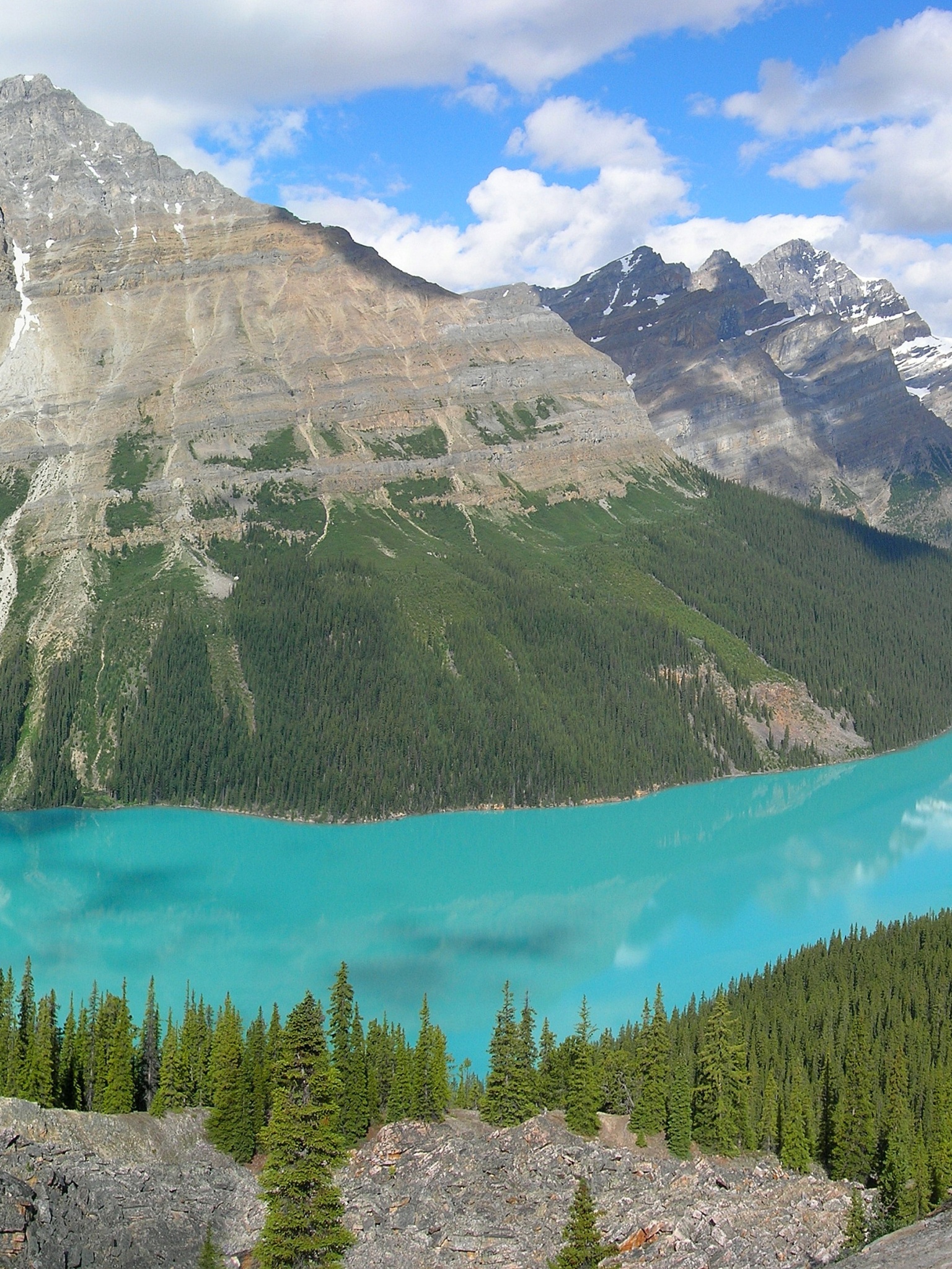 Peyto Lake In Banff N. Park (Canada)