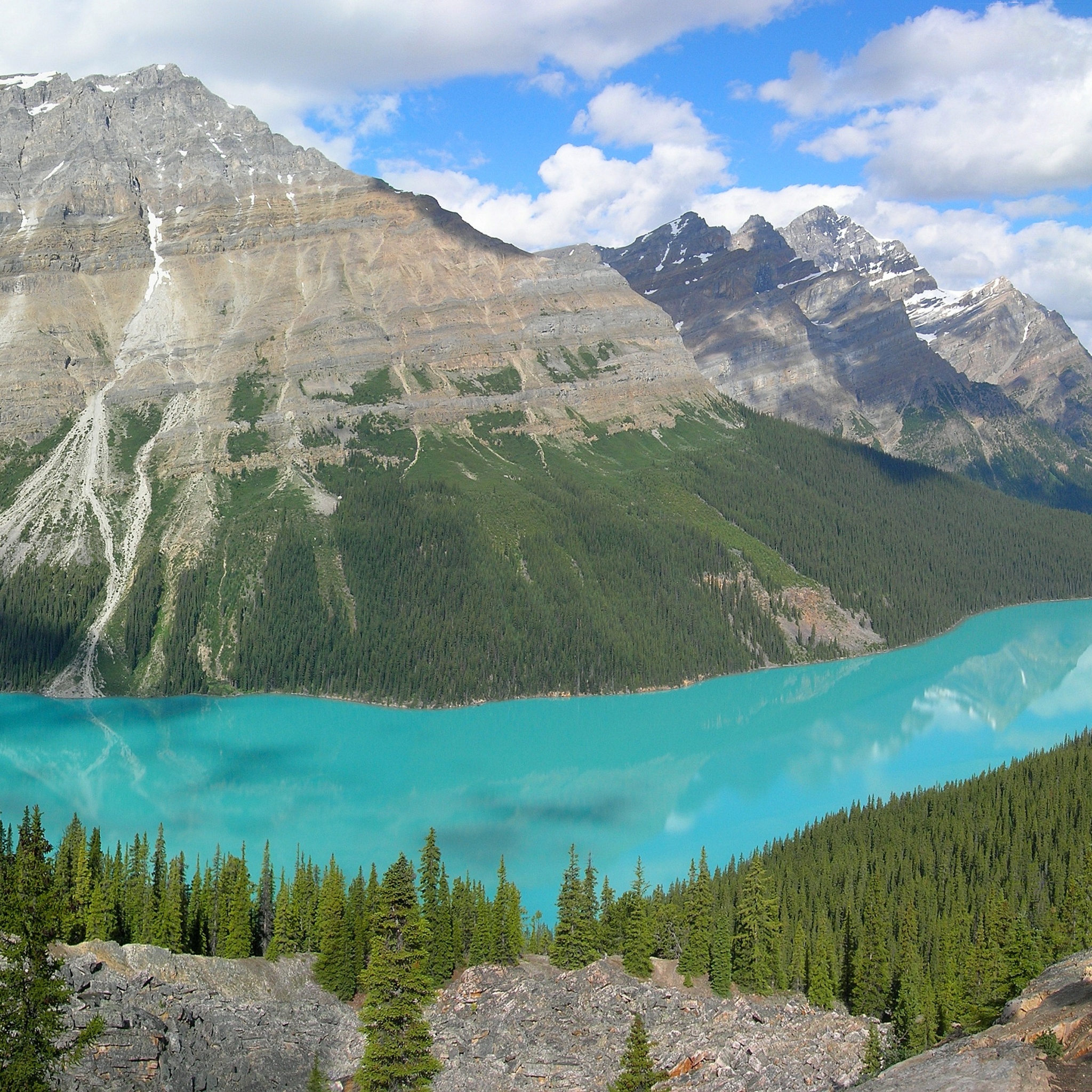 Peyto Lake In Banff N. Park (Canada)