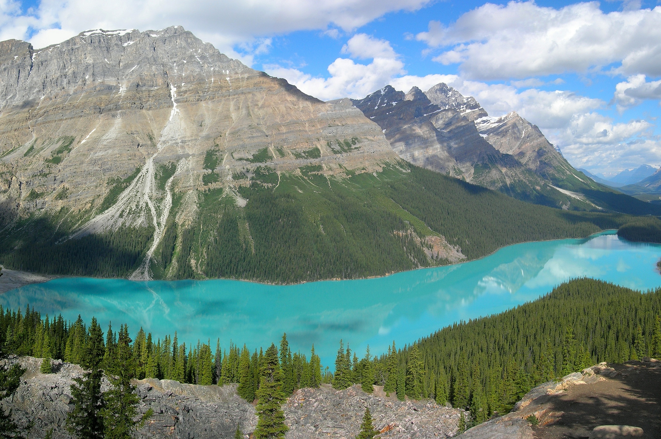 Peyto Lake In Banff N. Park (Canada)