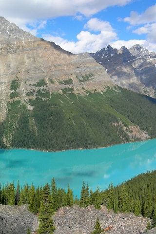 Peyto Lake In Banff N. Park (Canada)