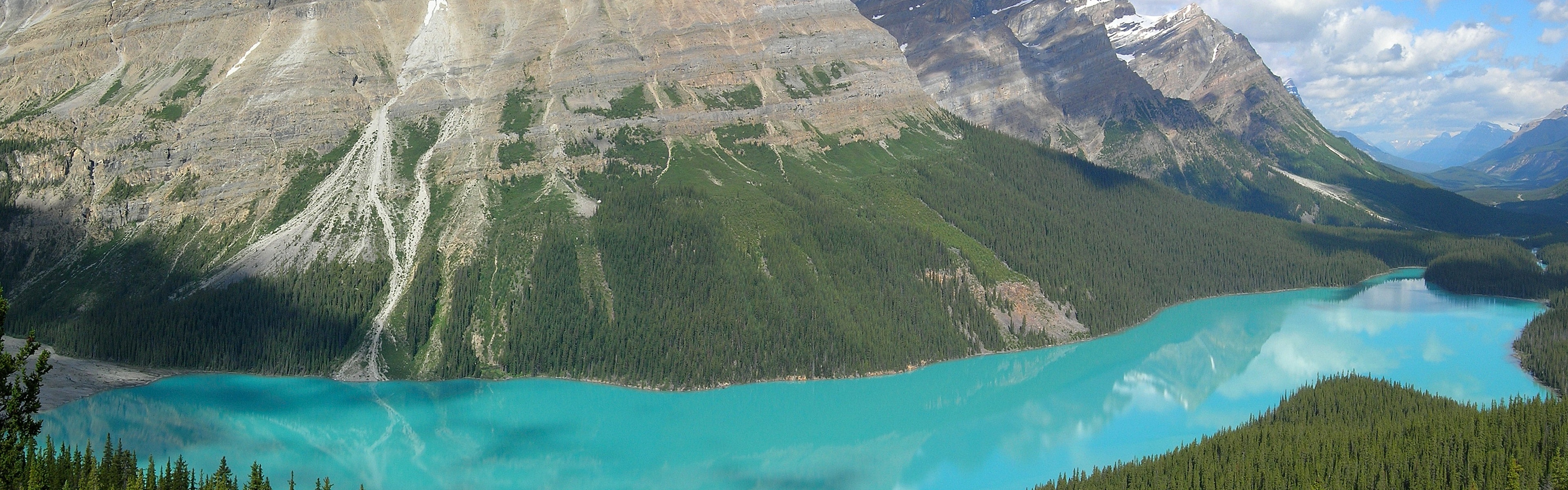 Peyto Lake In Banff N. Park (Canada)