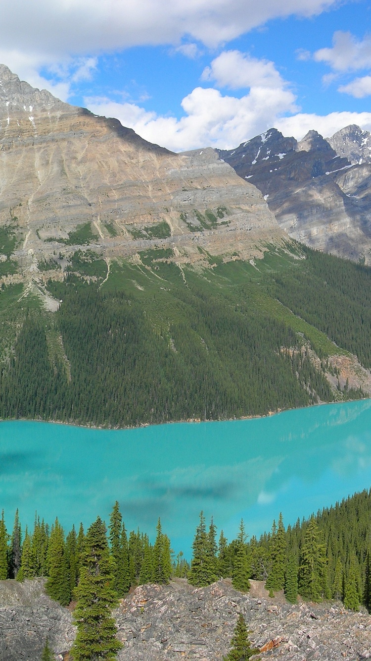 Peyto Lake In Banff N. Park (Canada)