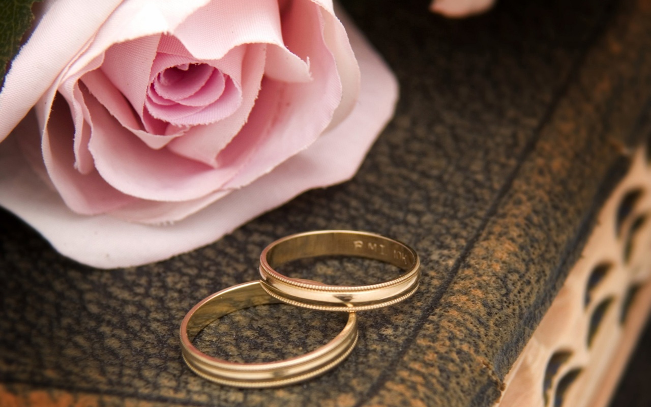 Pink Rose And Two Wedding Rings