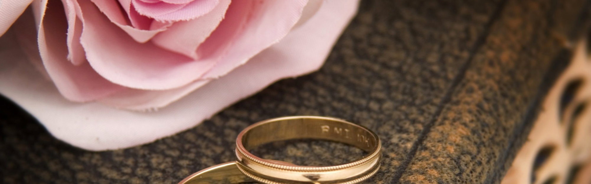 Pink Rose And Two Wedding Rings