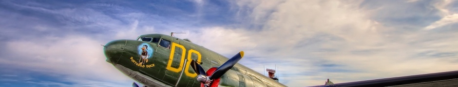 Planes Painted Aviation