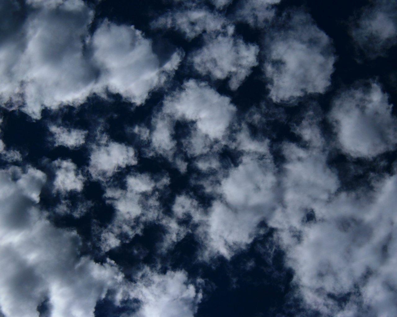 Puffy Clouds On Dark Blue Sky Texture