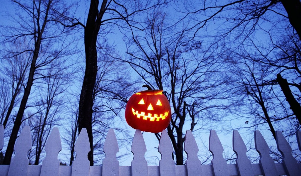 Pumpkin On Fence