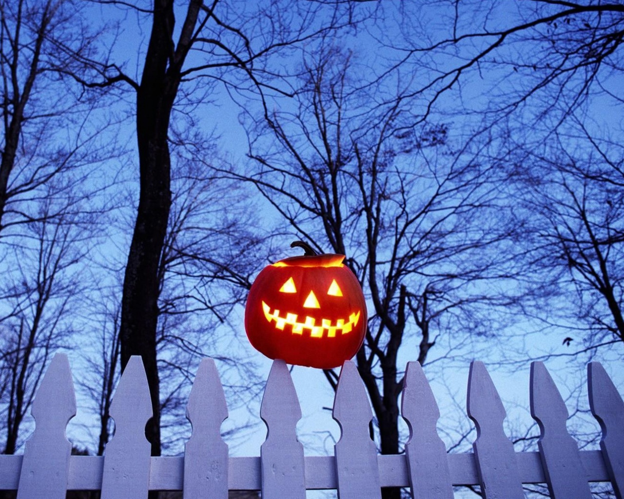 Pumpkin On Fence