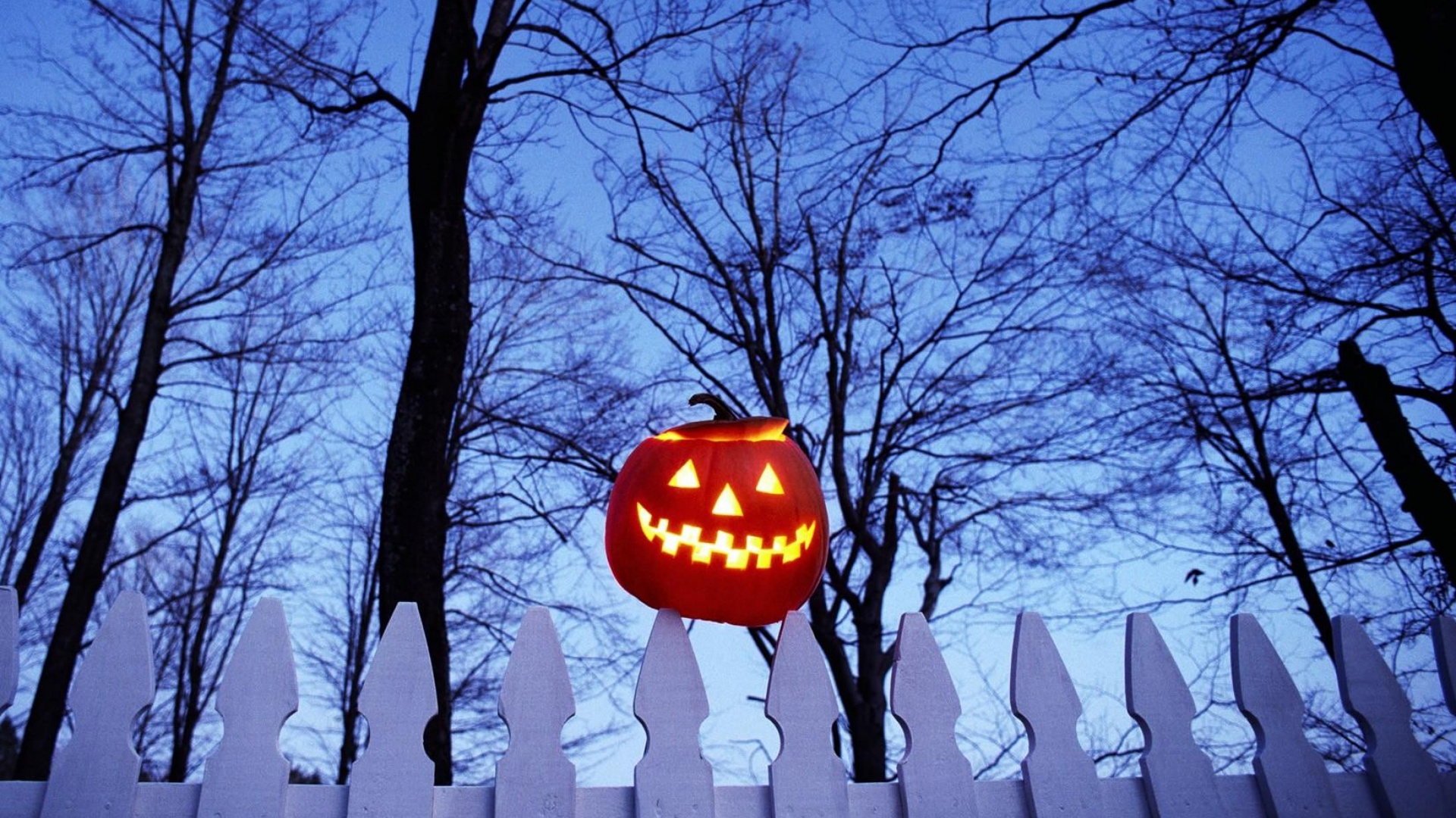 Pumpkin On Fence