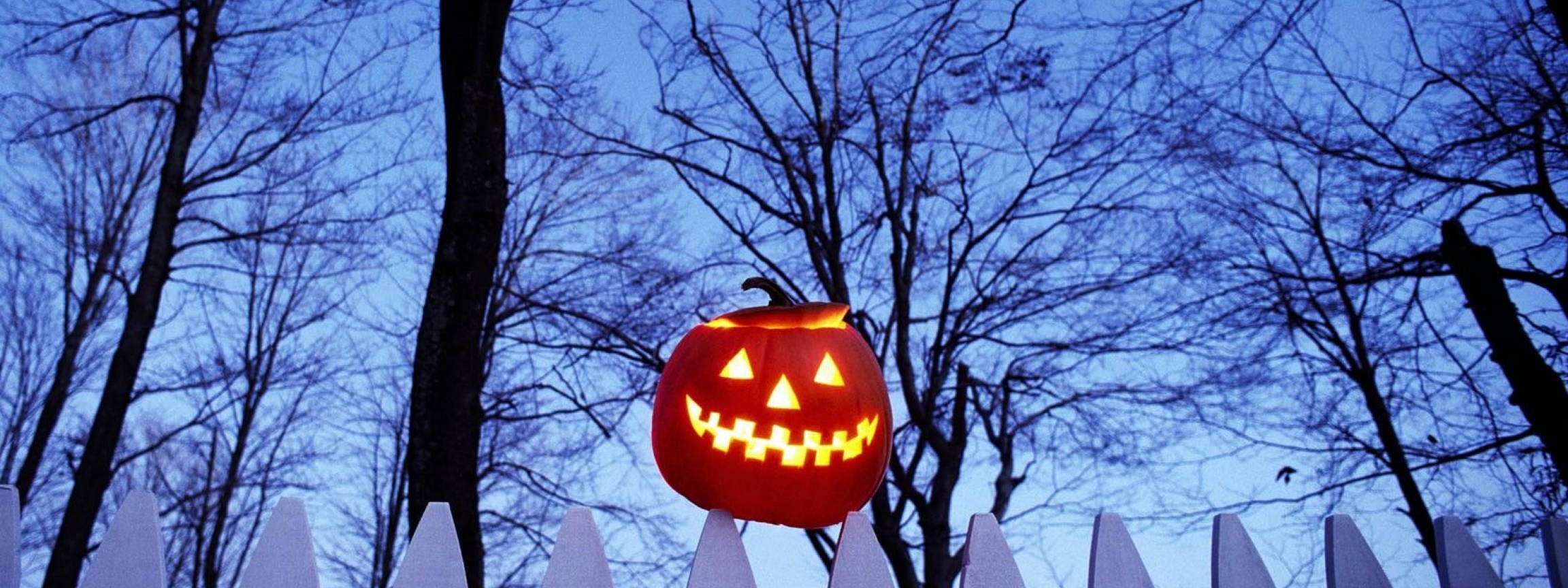 Pumpkin On Fence