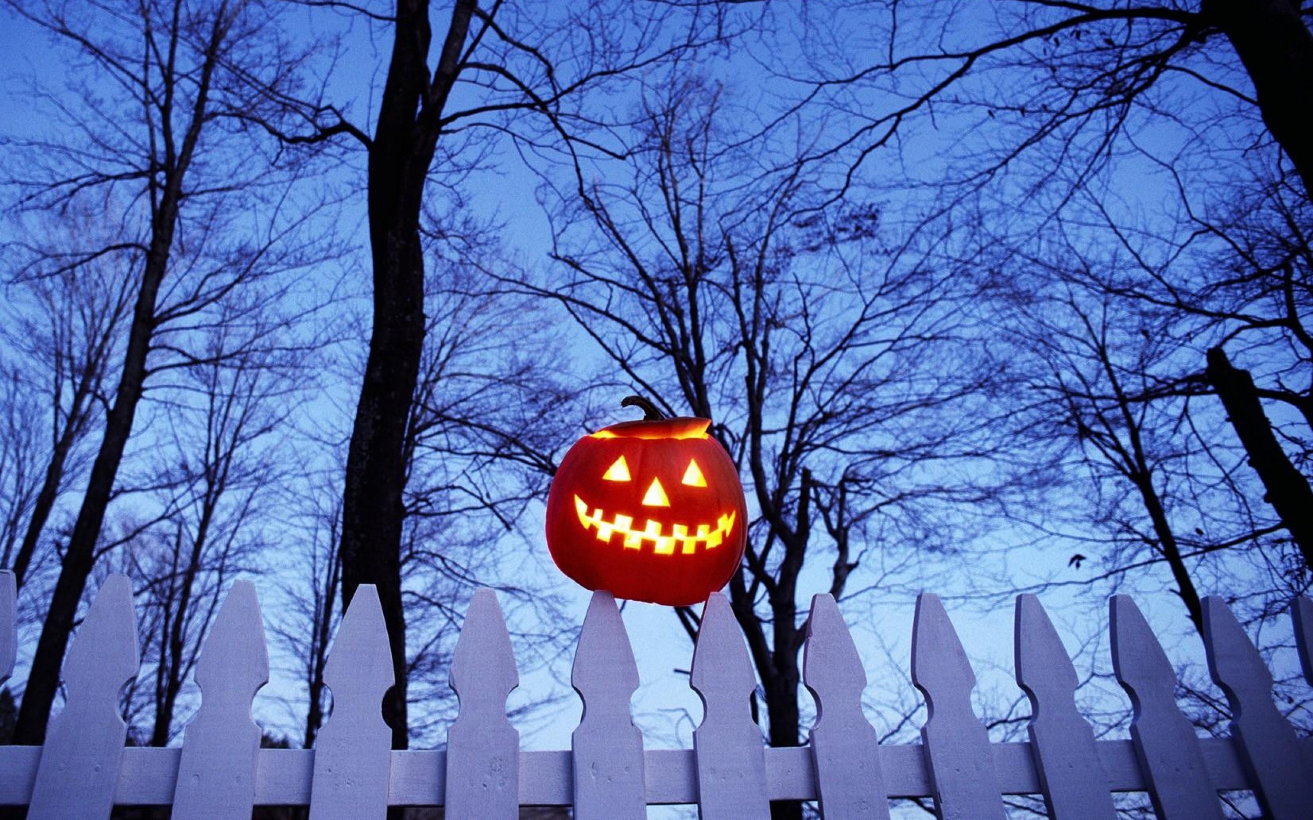 Pumpkin On Fence