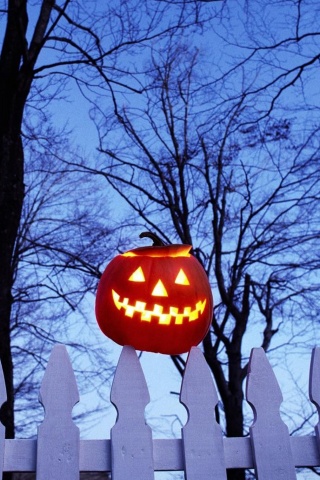 Pumpkin On Fence