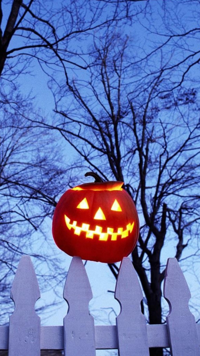 Pumpkin On Fence