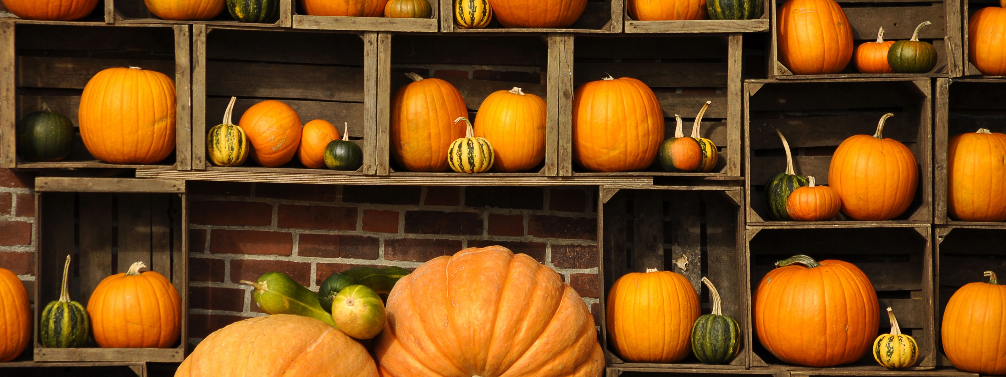 Pumpkins Autumn Art