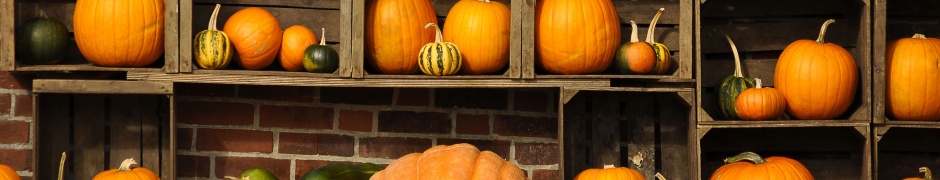 Pumpkins Autumn Art