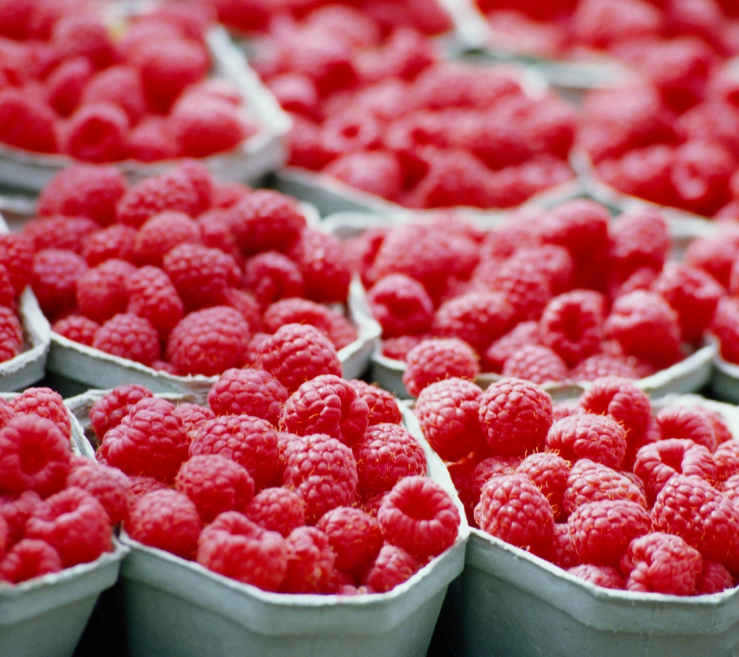 Raspberries Food