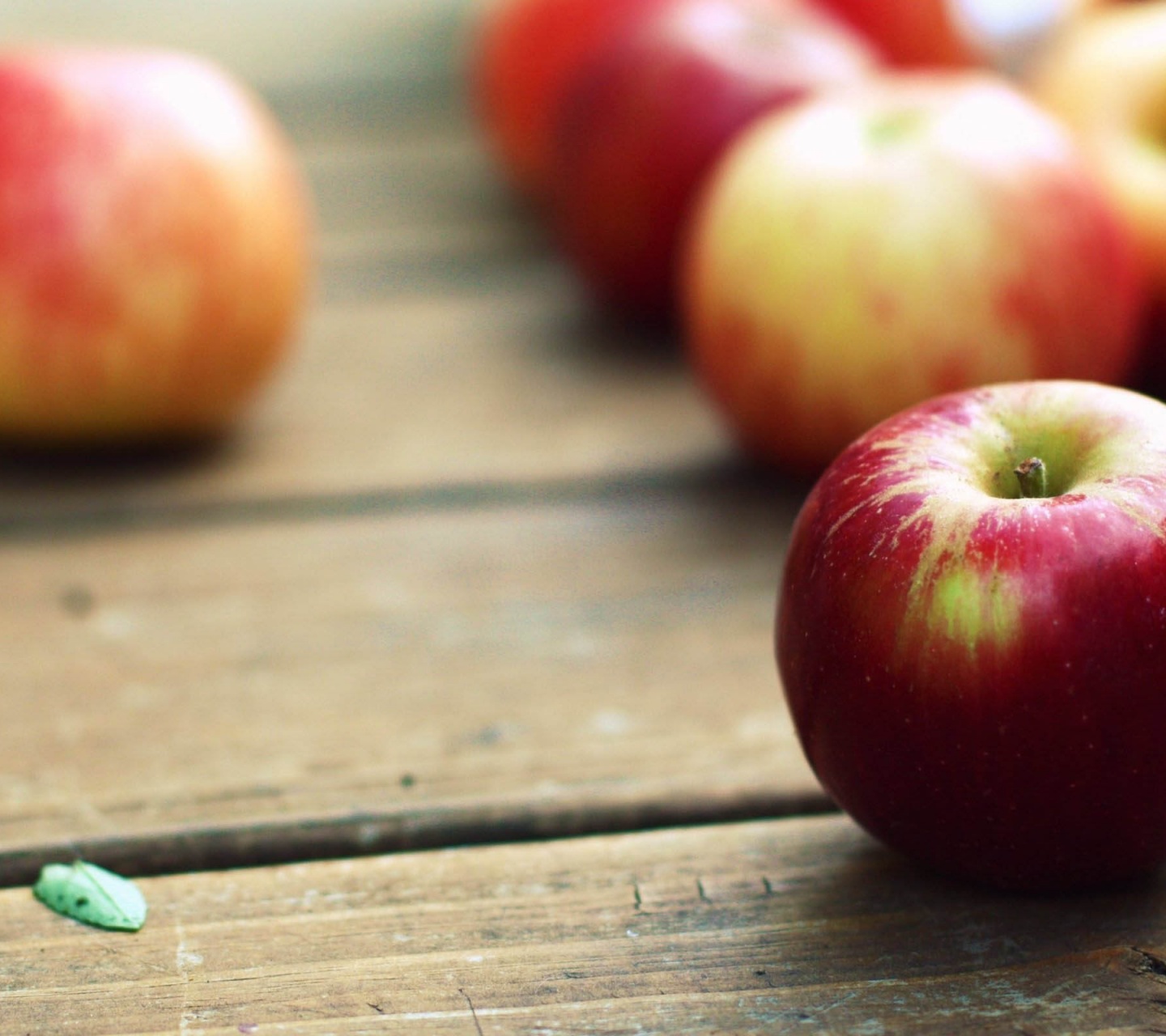 Red Apples Close Up