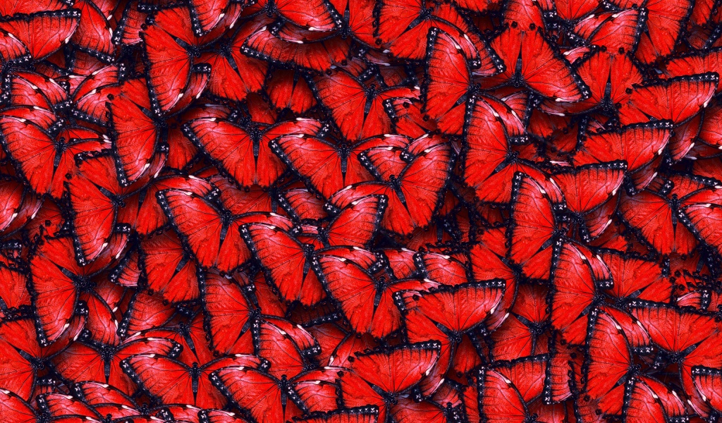 Red Butterfly Pattern