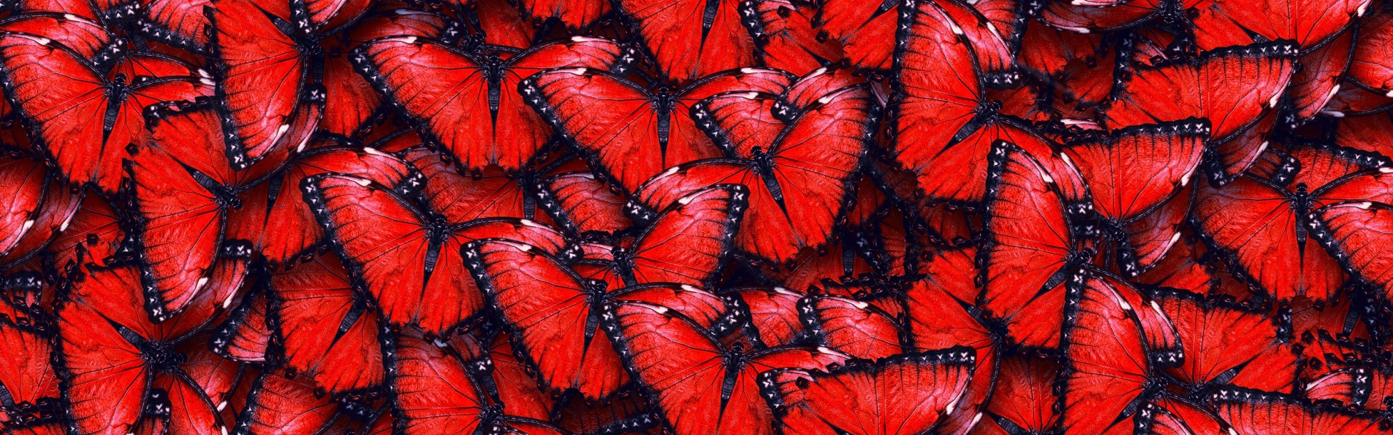 Red Butterfly Pattern