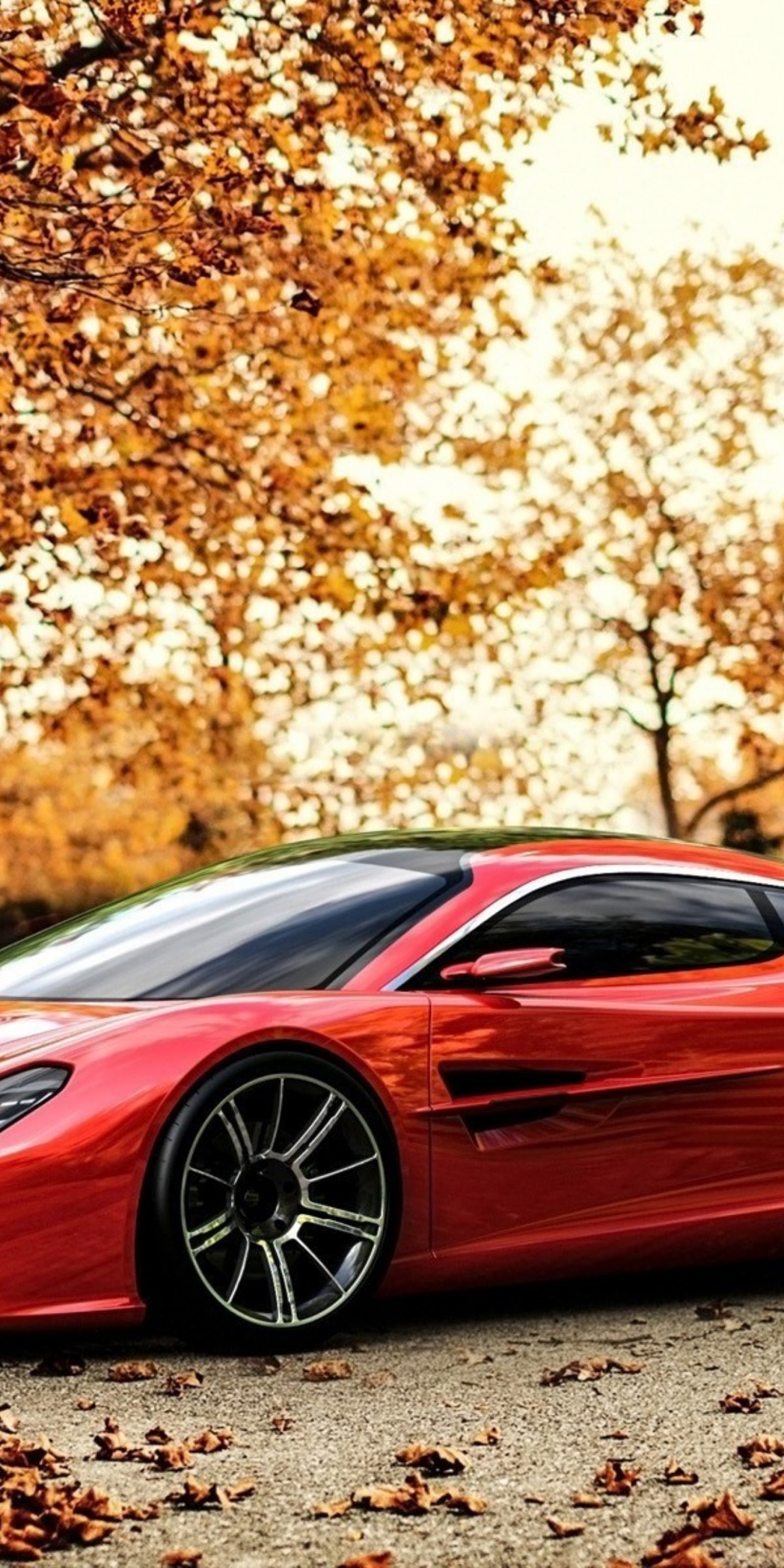 Red Car And Light Of Autumn Sunset