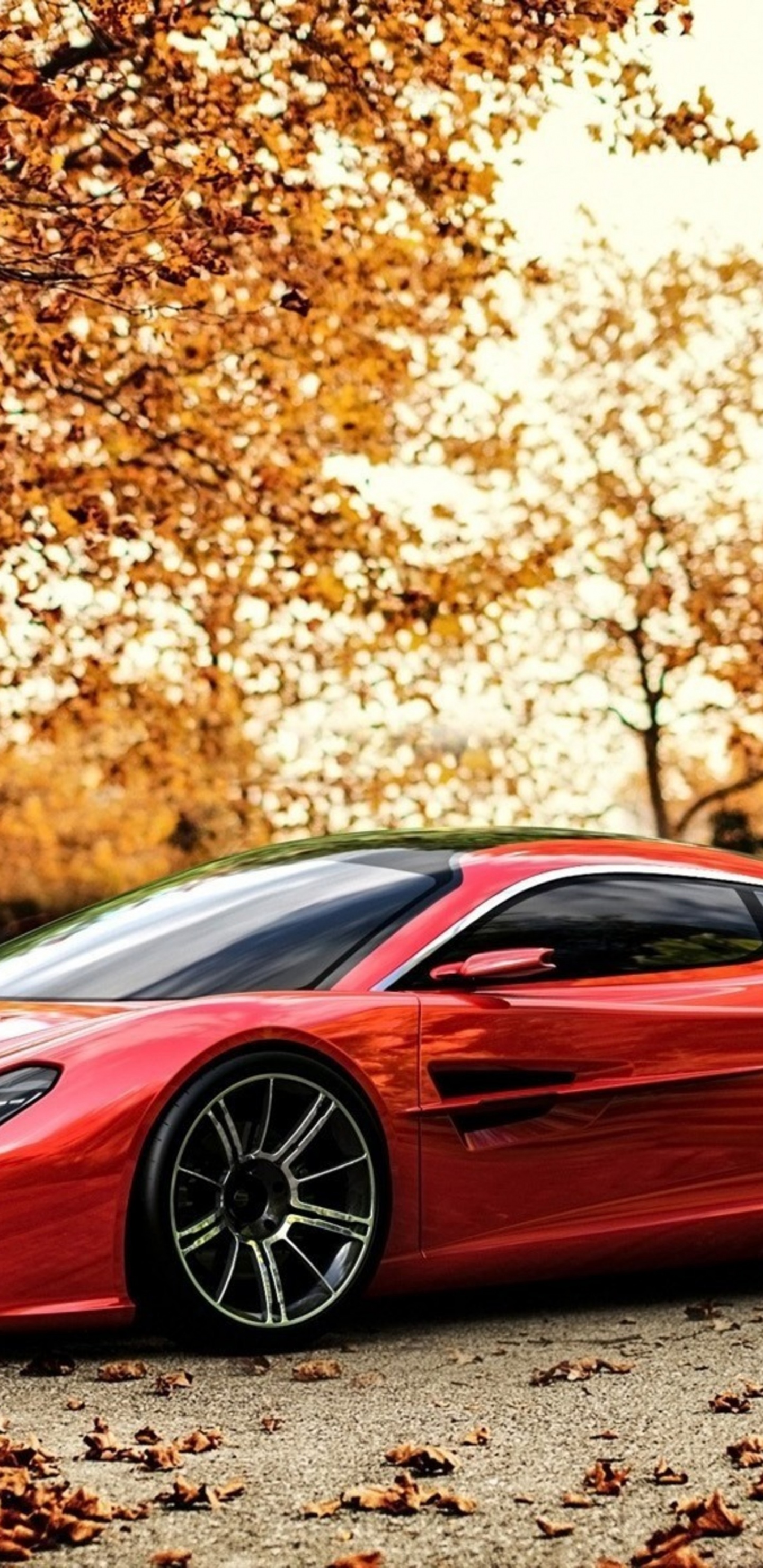 Red Car And Light Of Autumn Sunset